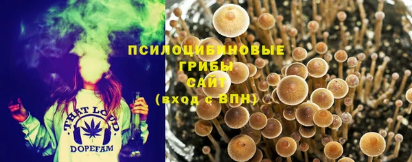 гашиш Вяземский