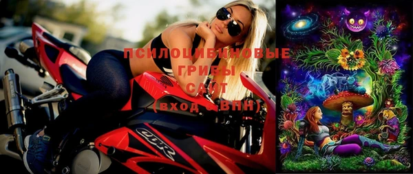 сатива Волоколамск