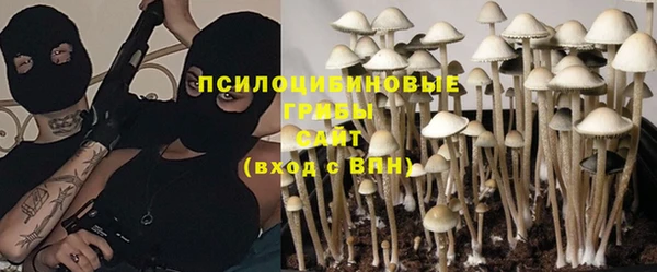 сатива Волоколамск