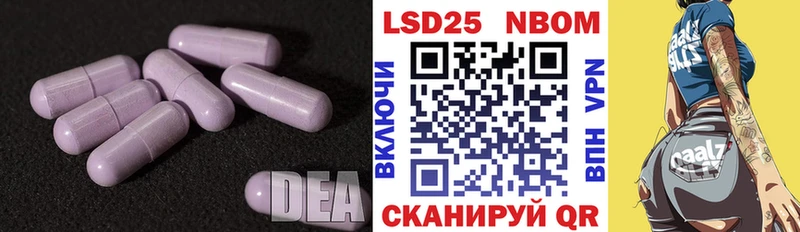 где продают наркотики  Каменск-Шахтинский  ЛСД экстази ecstasy 