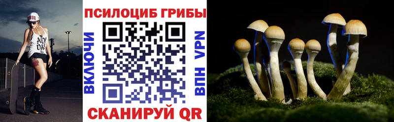 Псилоцибиновые грибы мухоморы Каменск-Шахтинский